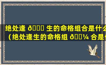 绝处逢 🐒 生的命格组合是什么（绝处逢生的命格组 🐼 合是什么意思）